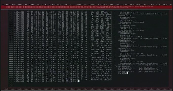 Showing hex editor window displaying hex dump and network log on workstation with maroon frame