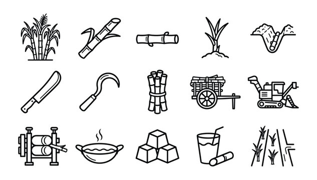 Minimalist black outline sugarcane agriculture plantation processing industry sweet sugar harvest vector linear web icons set