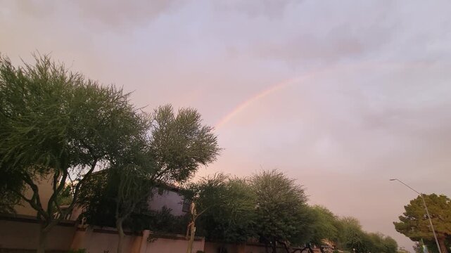 An arch of a colorful rainbow stretches across the sky at sunset after rain and dust storm over a quiet neighborhood asphalt street with desert trees and huge pine tree, Phoenix, Arizona