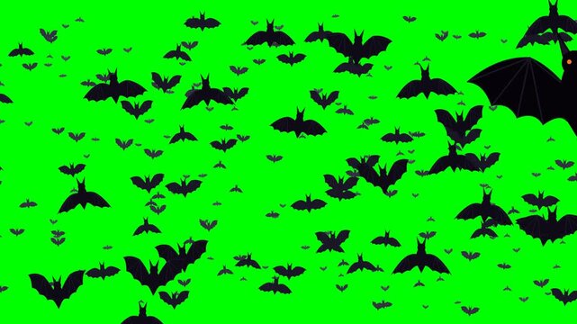 Layered parallax of flat vector bats flying across green screen with large orange-eyed bats passing close in the foreground, seamless loop