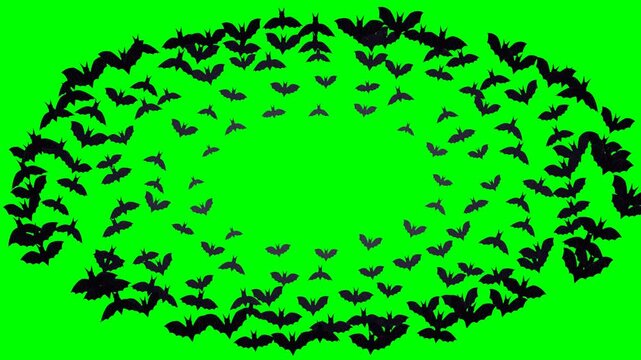 Flat vector bats flying in concentric circular rings around an empty center on green screen, seamless loop animation