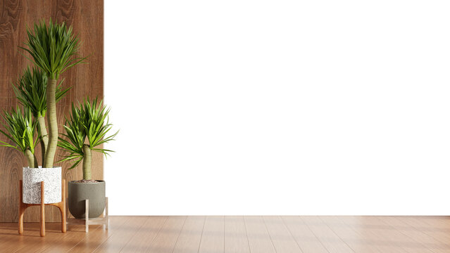 Empty white wall mockup with wooden slats and green potted plant on transparent background- 3D rendering