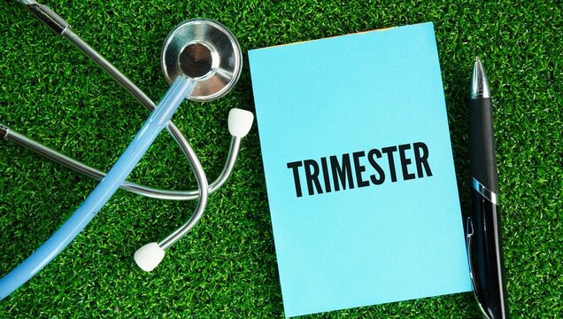Stethoscope and paper with the word trimester is a period of three months or one-third of a standard 40-week human pregnancy or an academic year.