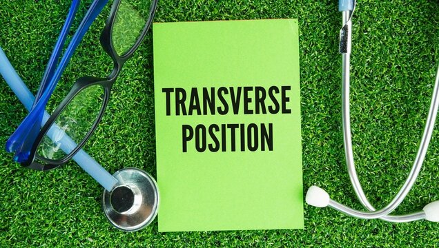 Stethoscope and paper with the words transverse position transverse lie means a baby lies horizontally, sideways across the uterus instead of vertically.