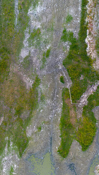 Aerial View of Marshland and Wetlands