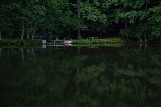 Reflection of green trees in a lake on a summer day in Germany.