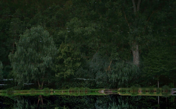 Reflection of green trees in a lake on a summer day in Germany.