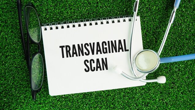 Stethoscope and paper with the word transvaginal scan transvaginal ultrasound or TVS is a safe medical imaging procedure that uses high-frequency sound waves to examine the female pelvic organs.