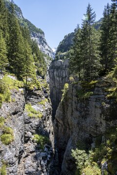 Gorge, Wei&szlig;e L&uuml;tschine, glacier Grindelwald-Fieschergletscher and summit of Walcherhorn, Bernese Oberland, Switzerland
