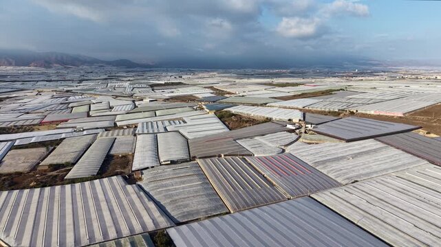 A tracking drone shot sweeping across endless plastic greenhouse roofs stretching into distant mountain ranges.