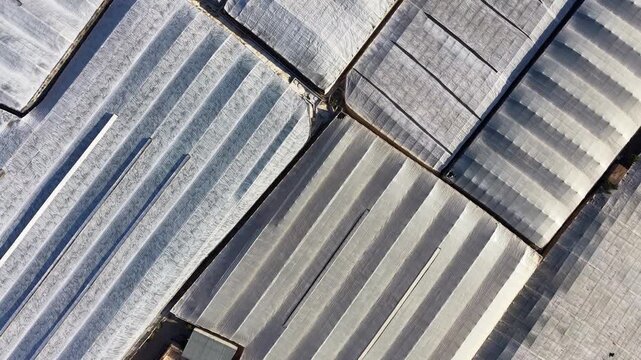 A top-down tracking drone shot moving over textured greenhouse plastic covers in an industrial agricultural zone.