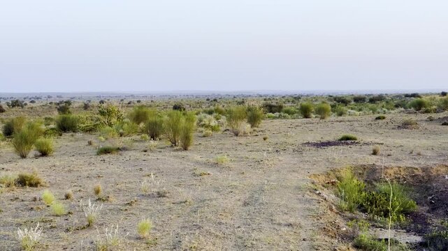 Beautiful landscape of desert national Park Jaisalmer Rajasthan