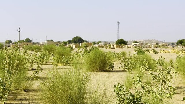 A small village in desert national park Jaisalmer, Rajasthan