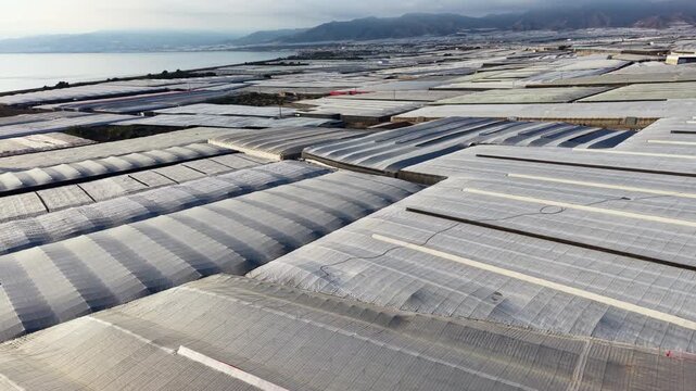A dolly drone shot advancing over dense greenhouse structures toward distant mountains and the coast.