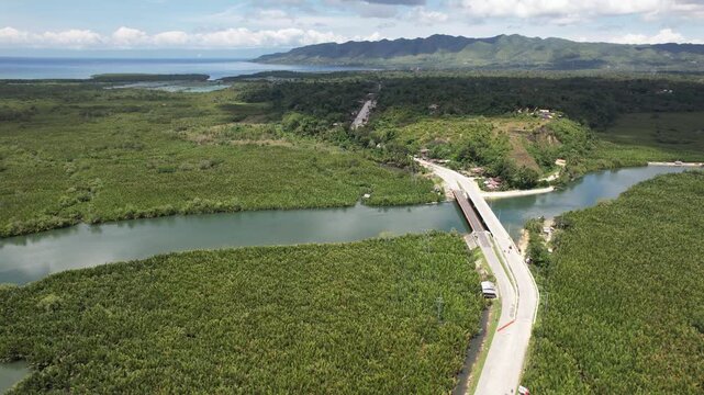 Drone shot of a bridge over the Abatan River in Cortes, Bohol, Philippines, surrounded by dense nipa palms and distant mountains in Maribojoc.