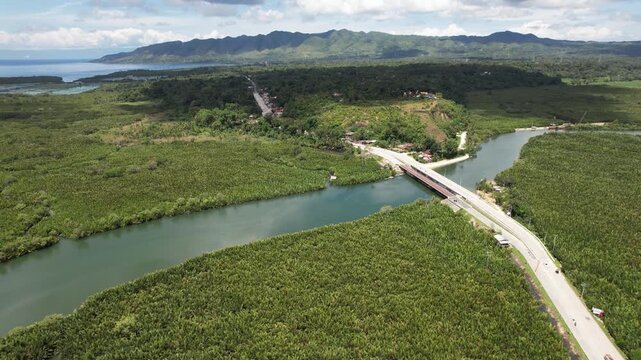 Drone shot of a bridge over the Abatan River in Cortes, Bohol, Philippines, surrounded by dense nipa palms and distant mountains in Maribojoc.