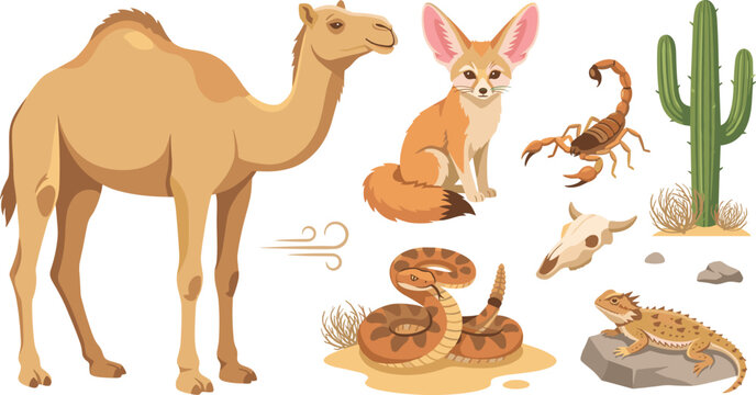 Desert Wildlife Vector Animals Icon Set with Camel, Fennec Fox, Rattle Snake, Scorpion, Lizard, Cactus, and Animal Skull Elements for Nature Designs