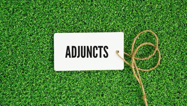 Judge's hammer and paper tag with the word adjunct is an optional word, phrase, or clause in a sentence that adds extra contextual information but can be removed without making the sentence grammatica