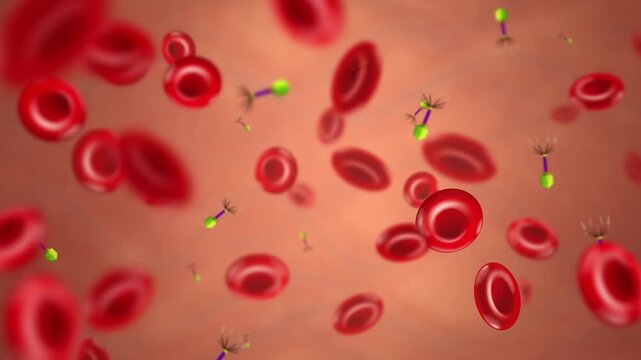 Microscopic 3D Animation of Red Blood Cells and Viruses Drifting Right