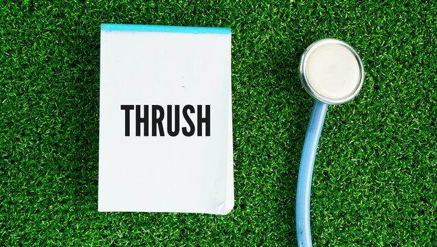 Stethoscope and paper with the word Thrush is a common fungal infection caused by an overgrowth of the Candida yeast