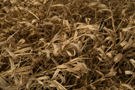 Dry brown grass texture full frame macro shot of withered autumn leaves background