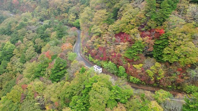 Kochi, Japan : Aerial drone footage following camping car drives on winding road with colorful trees at autumn in famous scenic UFO raod in mountain of Shikoku Island, Japan