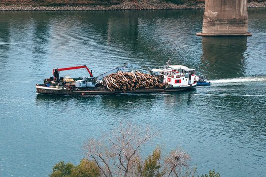 Barge loaded with a large pile of cut logs pushed by a white tugboat along a calm green river, with a crane on deck, a bridge pier at the top right and autumn trees in the foreground.