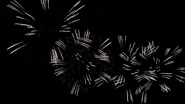 花火大会にて撮影した打ち上げ花火