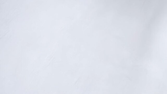 Intentionally blurred soft white abstract background. Text overlay, presentation design, and website header.