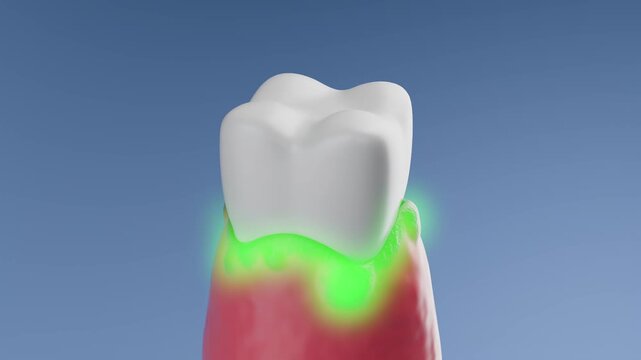 Active molecules repair gums and teeth health