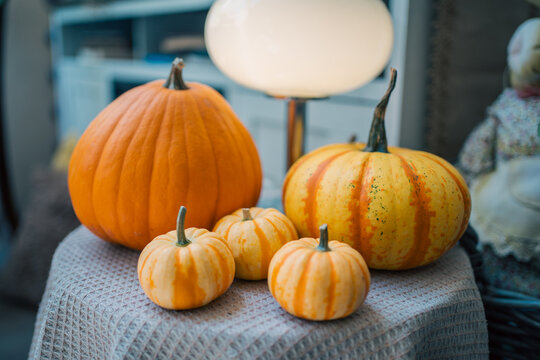 striped orange pumpkins on textured fabric near glowing round lamp, cozy fall indoor decoration featuring seasonal harvest squash under warm lighting