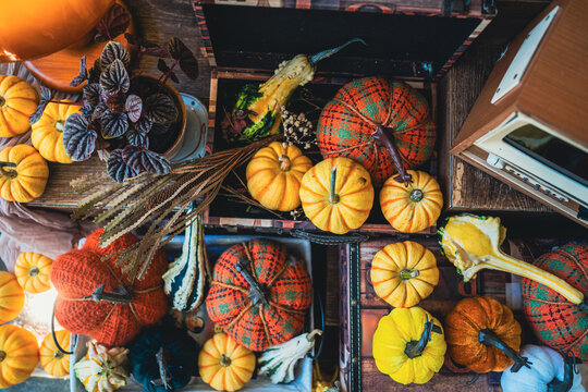 top down view of autumn harvest decoration inside vintage suitcase, cozy fall holiday arrangement featuring handmade plaid pumpkins and seasonal squash