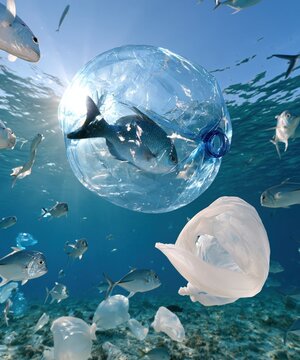 Fish trapped in plastic debris pollute a vibrant ocean ecosystem.