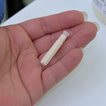 A delicate, ribbed component is held within an open palm for examination.