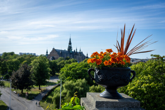 Orange flowers in an ornate urn overlook Stockholm's leafy park and historic museum