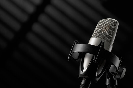 Studio microphone in shock mount for professional audio recording