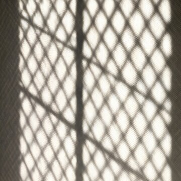 Elegant lattice window shadow overlay on a wall