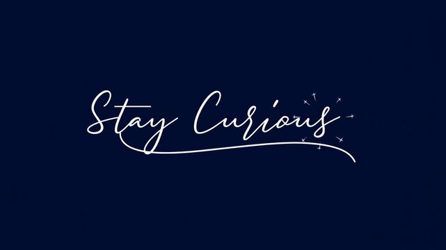 Handwritten Stay Curious lettering animates with a sweeping underline and sparkles on a dark navy field. Motivational opener, educational content intro, and personal development campaign.