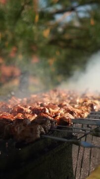 Skewered meat cooking on metal spits over charcoal grill outdoors appetizing
