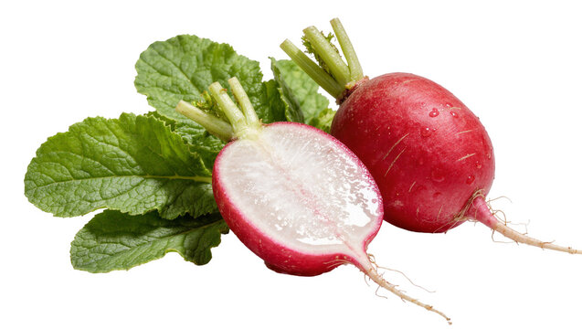 Fresh red radish with green leaves and one sliced half showing white interior