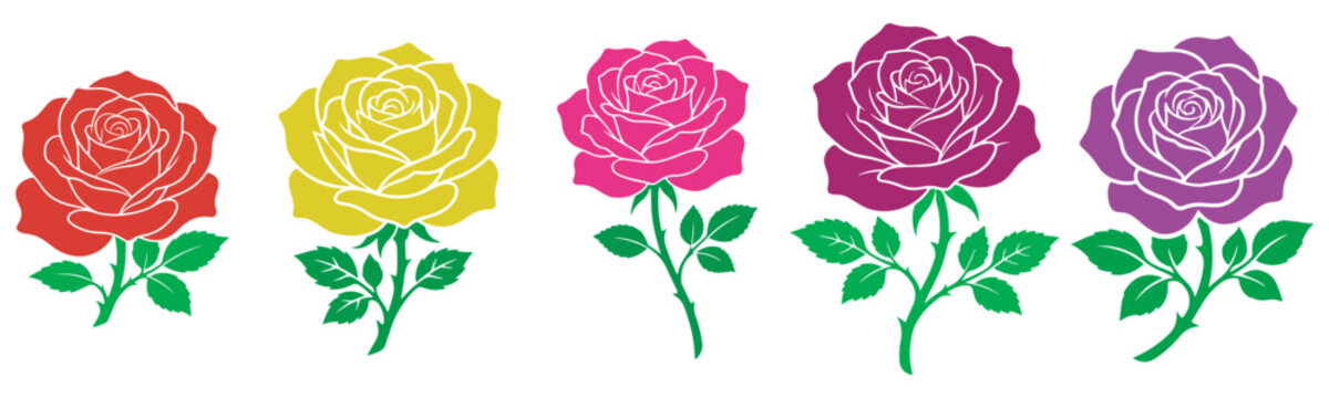 Colorful rose flowers in different shades for decoration and art eps 10