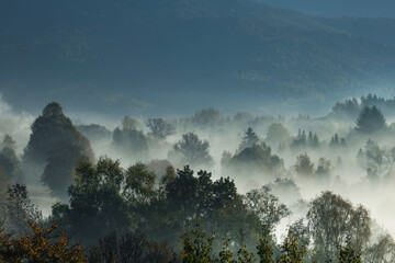 Jesienny, mglisty poranek w Beskidach. Laliki. Polska. © mycatherina