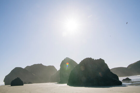 Large rocks on sandy beach under bright sun with seagull flying