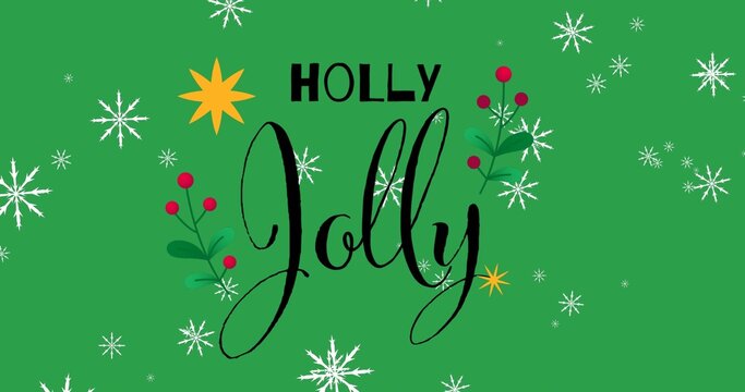 Displaying centered Jolly script and uppercase HOLLY text on green, with holly sprigs, snowflakes