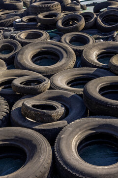 Old Tires Stacked in a Recycling Yard in Sunlight