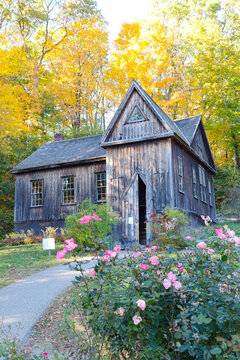 Historic Concord School of Philosophy Building Surrounded by Blooming Pink Roses in Autumn