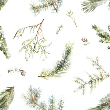 Watercolor hand drawn seamless pattern with snowy winter coniferous branches pine, spruce, thuja, fir, cones, isolated on white background. Christmas New Year evergreen botanical print