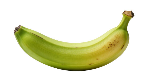 Single fresh green unripe banana with brown stem tip