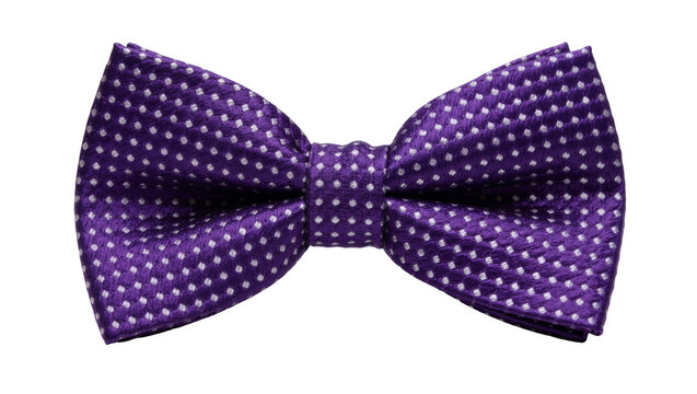 Purple silk bow tie with small white polka dot pattern