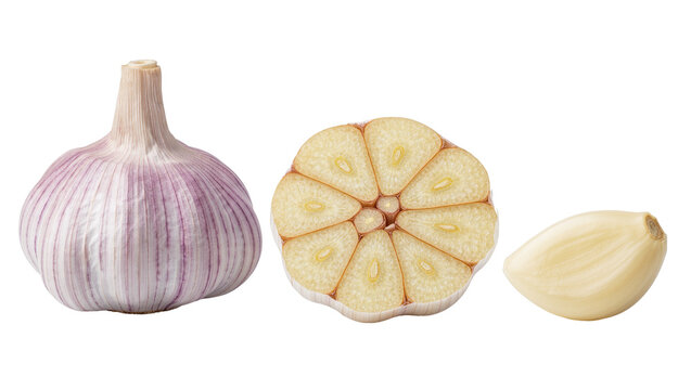 Whole garlic bulb with cross section slice and single peeled clove